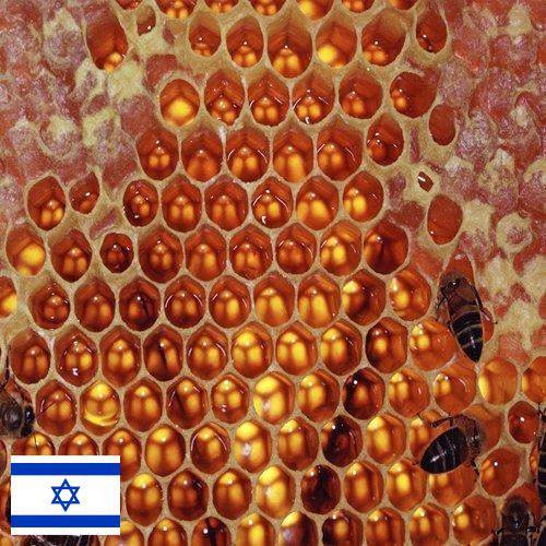 мед оборудование из Израиля