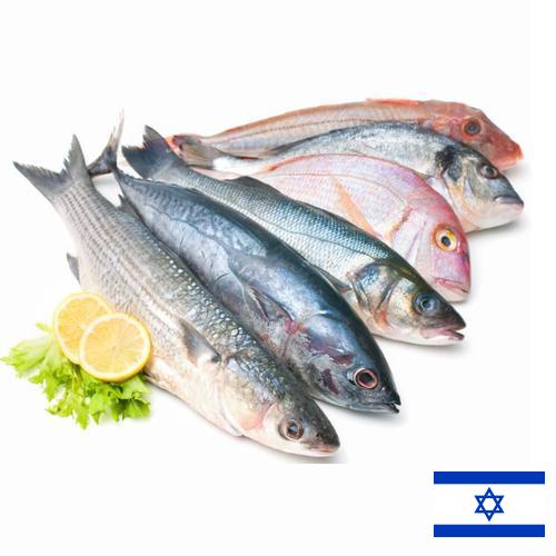 Морепродукты из Израиля