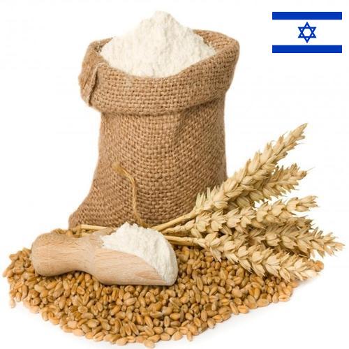 мука пшеничная хлебопекарная из Израиля