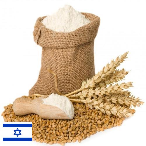 мука пшеничная высший из Израиля