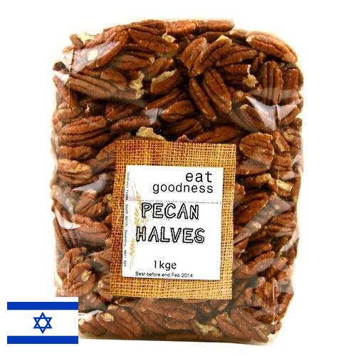 Орехи пекан из Израиля