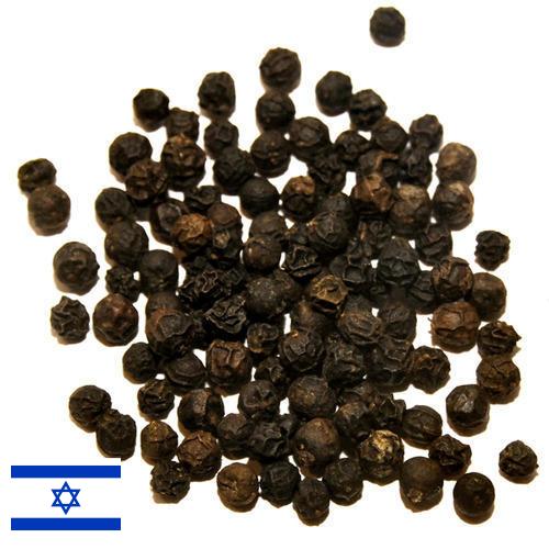Перец черный горошек из Израиля
