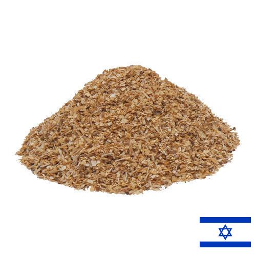 Полипропилен первичный из Израиля