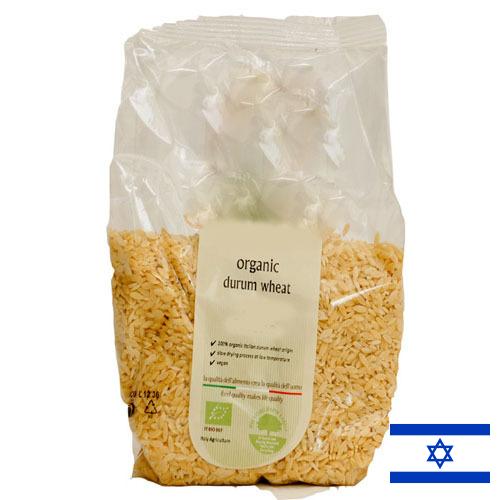 пшеница твердая из Израиля