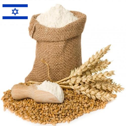 Пшеничная мука из Израиля