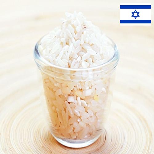 рис шлифованный из Израиля