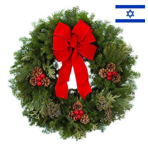 Рождественский венок из Израиля