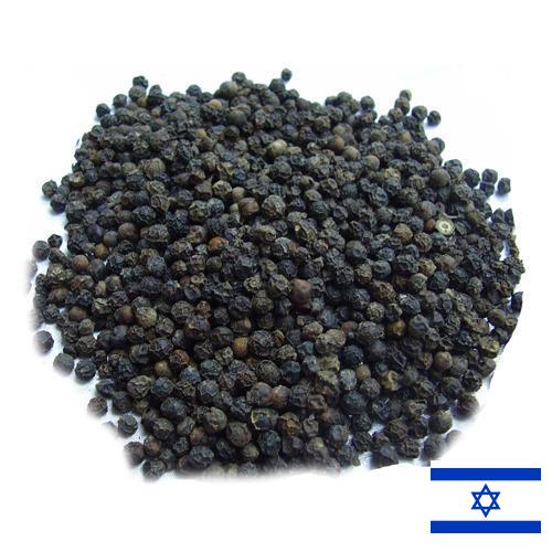 Семена перца из Израиля