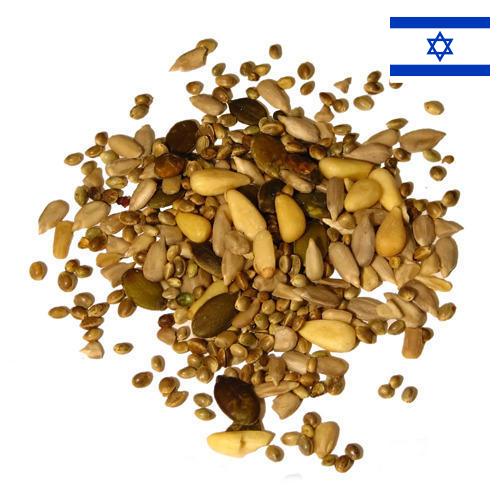 Семена из Израиля