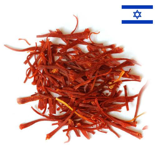 Шафран из Израиля