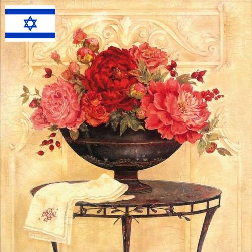 Шторы декоративные из Израиля