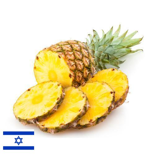 сок ананасовый из Израиля