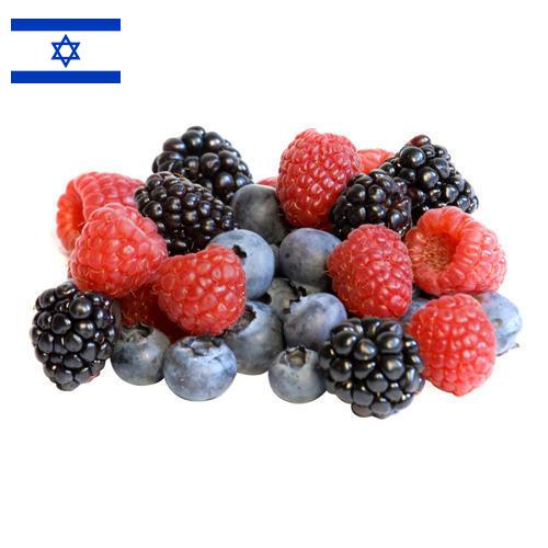 сублимированные ягоды из Израиля