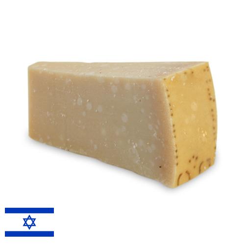 сыр пармезан из Израиля