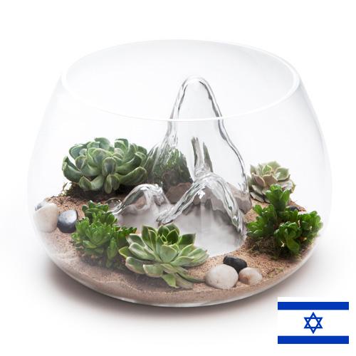 Террариумы из Израиля
