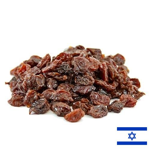 Вишня сушеная из Израиля