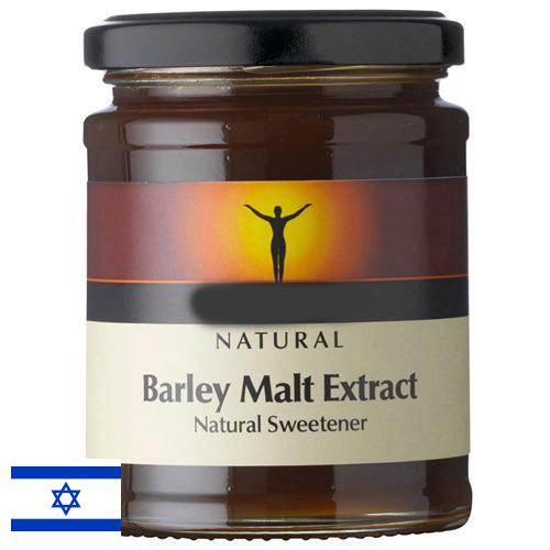 ячмень пивоваренный из Израиля