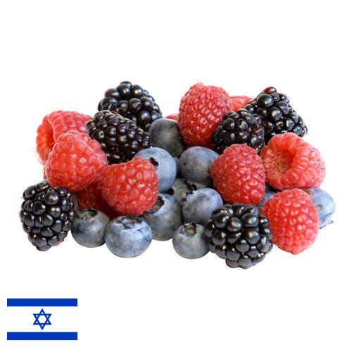 Ягоды замороженные из Израиля