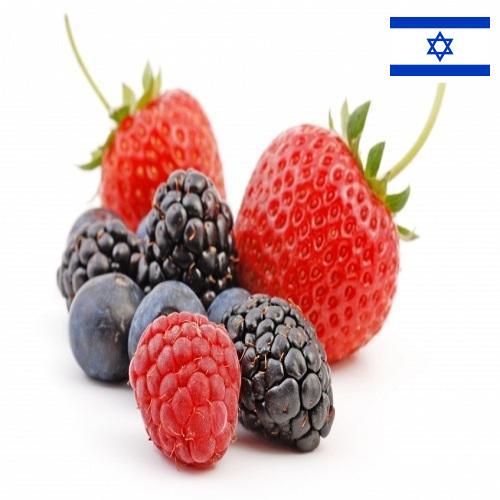 Ягоды из Израиля