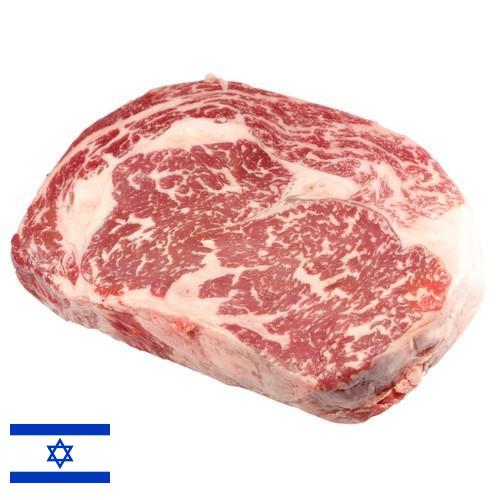 замороженного мясо из Израиля