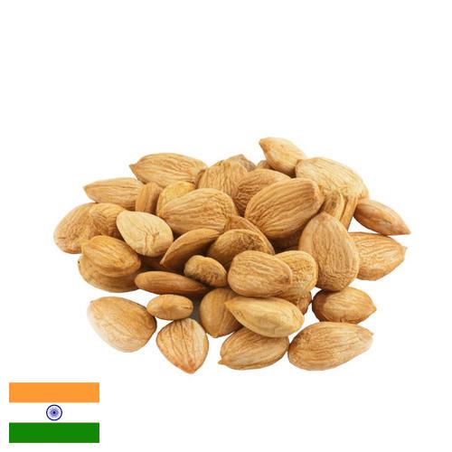 Абрикосовые косточки из Индии