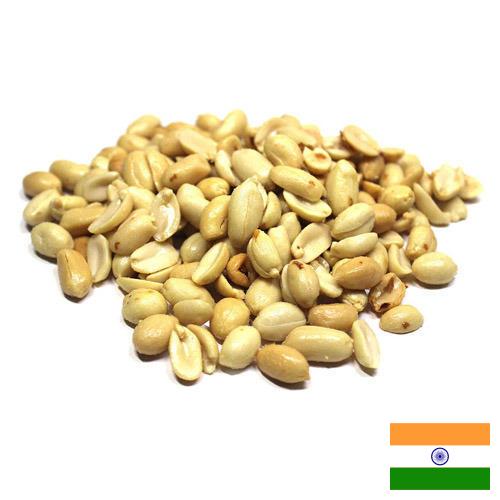 арахис бланшированный из Индии