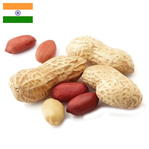 арахис очищенный из Индии