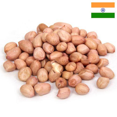 арахис сырой из Индии