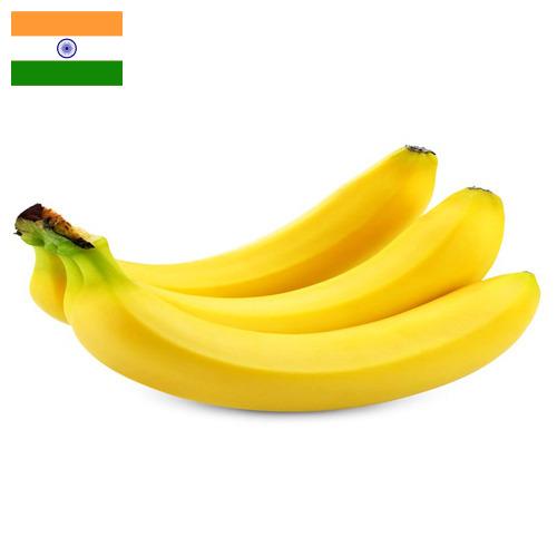 Бананы из Индии