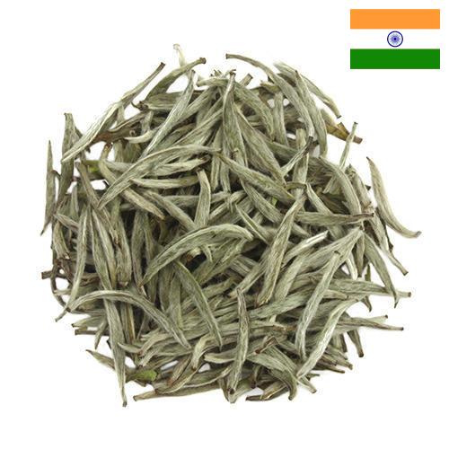 Белый чай из Индии