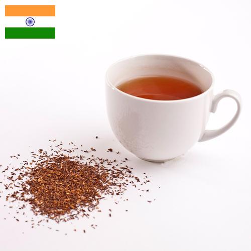 чай ройбуш из Индии