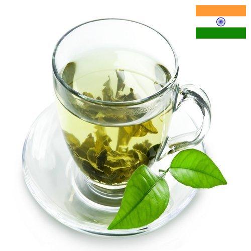 чай зеленый байховый из Индии