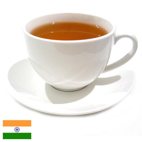 Чай из Индии