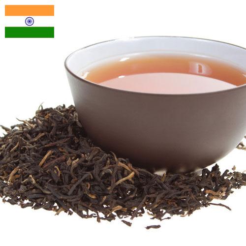 Черный чай из Индии