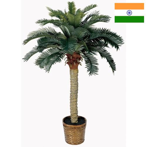 Деревья искусственные из Индии