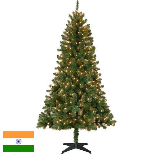 елки из Индии