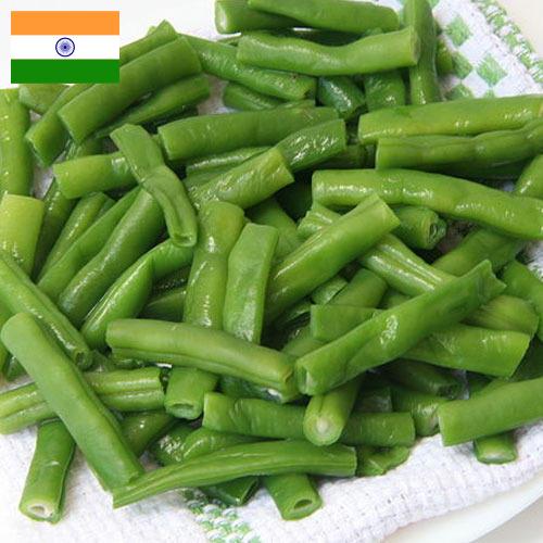 фасоль стручковая из Индии