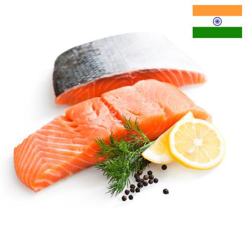 Филе рыбы из Индии