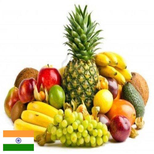 фрукты свежие из Индии