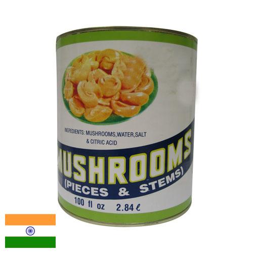 Грибы консервированные из Индии