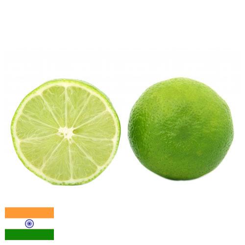 Известь из Индии