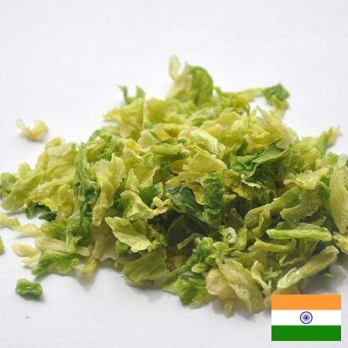 капуста сушеная из Индии