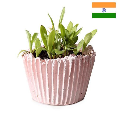 Кашпо из Индии