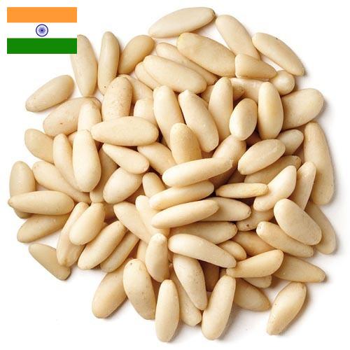 Кедровые орехи из Индии