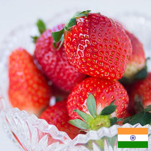 клубника замороженная из Индии