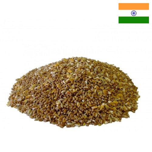 Корма для птицеводства из Индии