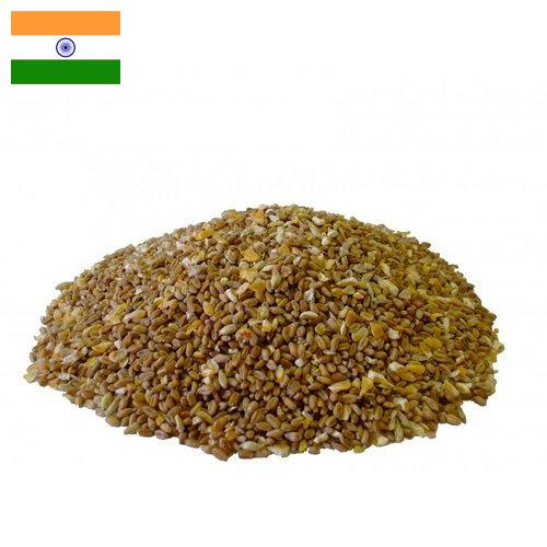 Корма для птицы из Индии