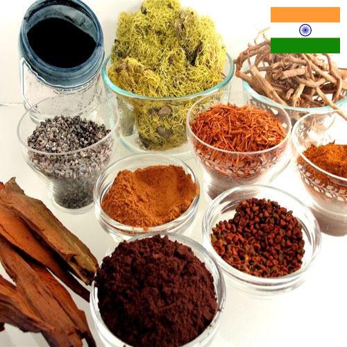 Красители натуральные из Индии