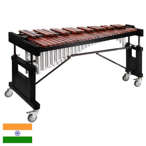 Ксилофон из Индии