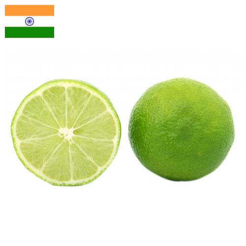 лайм из Индии